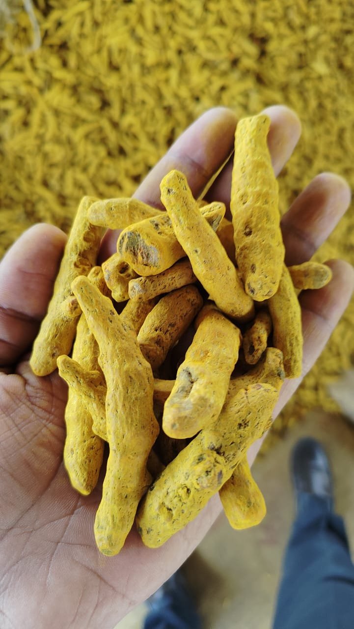 Turmeric Finger